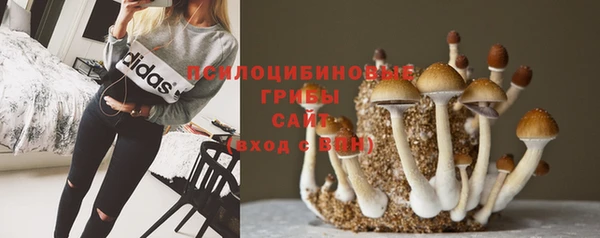 прущая мука Володарск