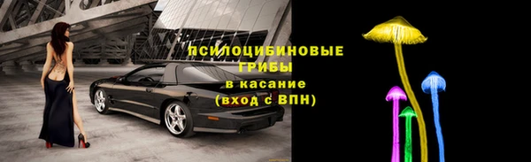 ECSTASY Вязьма