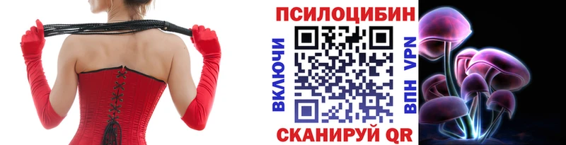 Псилоцибиновые грибы мухоморы  даркнет клад  Череповец 